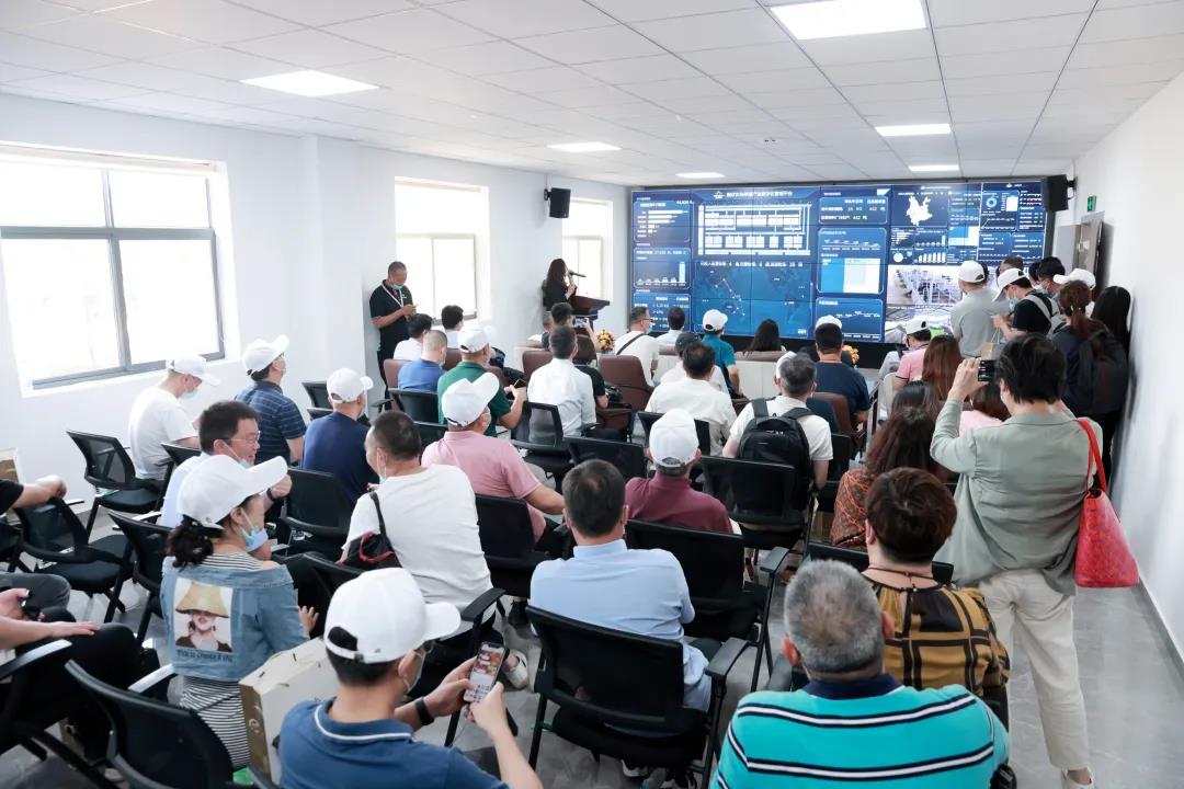 1626742837234108.jpg 3.jpg